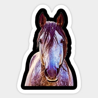 Oil Paint White Horse Sticker